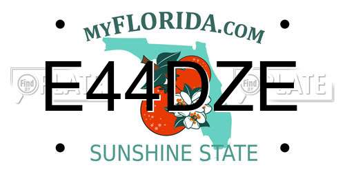 E44DZE Florida License Plate