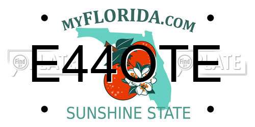 E44OTE Florida License Plate