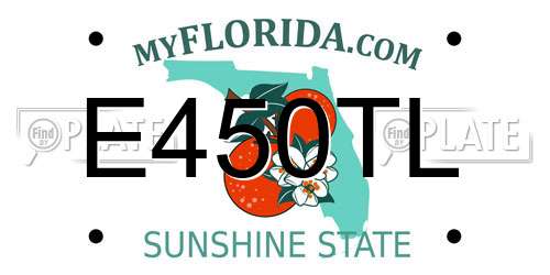 E450TL Florida License Plate