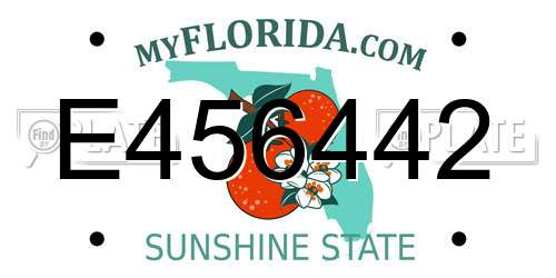 E456442 Florida License Plate