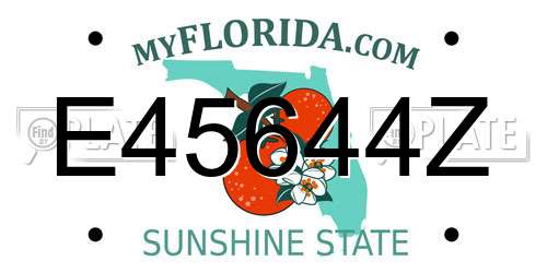 E45644Z Florida License Plate