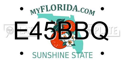 E45BBQ Florida License Plate