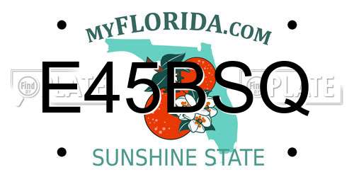 E45BSQ Florida License Plate