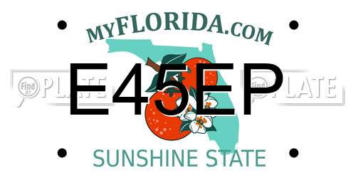 E45EP Florida License Plate