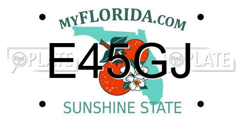 E45GJ Florida License Plate