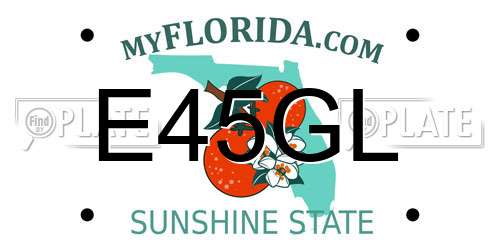 E45GL Florida License Plate