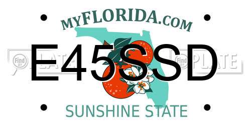 E45SSD Florida License Plate