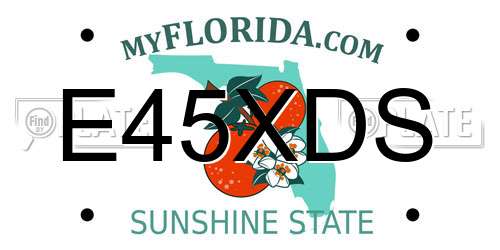 E45XDS Florida License Plate