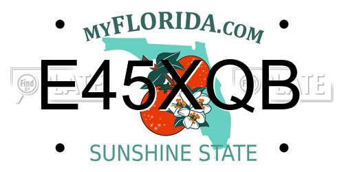E45XQB Florida License Plate
