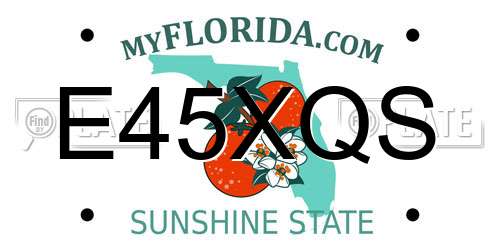E45XQS Florida License Plate