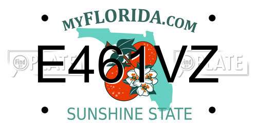 E461VZ Florida License Plate
