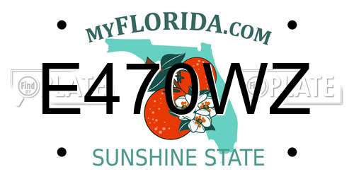E470WZ Florida License Plate