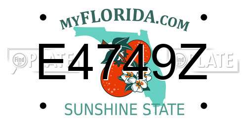 E4749Z Florida License Plate