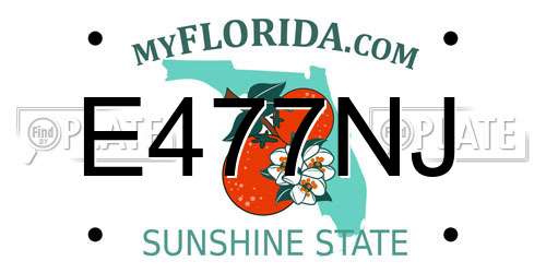 E477NJ Florida License Plate