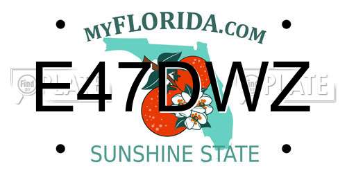 E47DWZ Florida License Plate