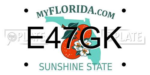 E47GK Florida License Plate
