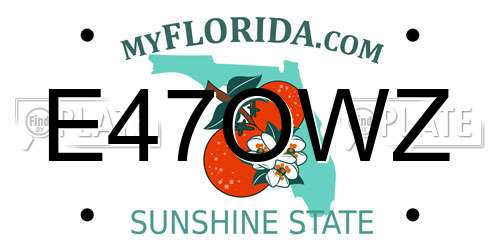 E47OWZ Florida License Plate
