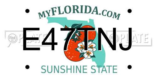 E47TNJ Florida License Plate