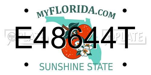 E48644T Florida License Plate