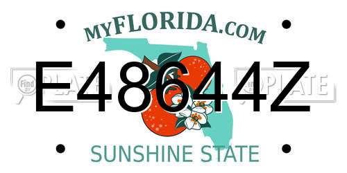 E48644Z Florida License Plate