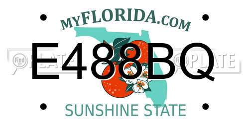 E488BQ Florida License Plate