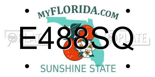 E488SQ Florida License Plate