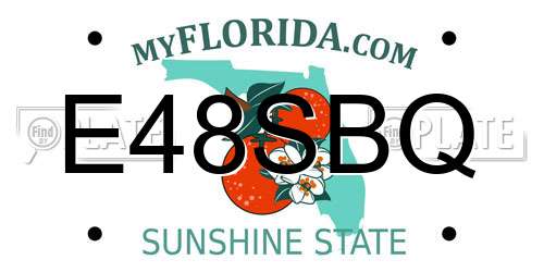 E48SBQ Florida License Plate