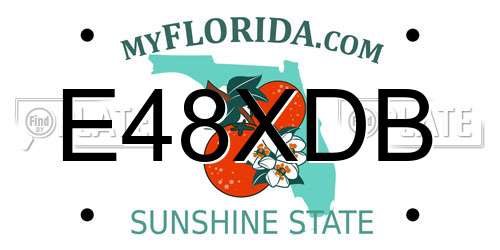 E48XDB Florida License Plate