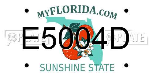 E5004D Florida License Plate