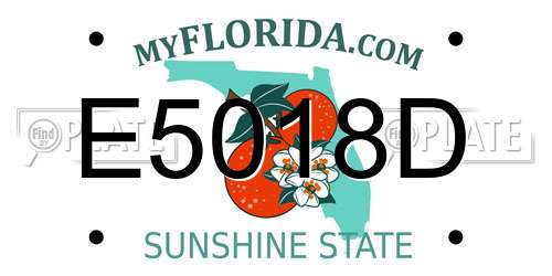 E5018D Florida License Plate