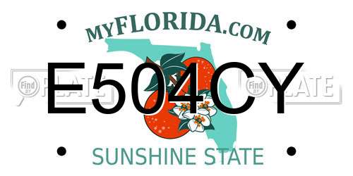 E504CY Florida License Plate
