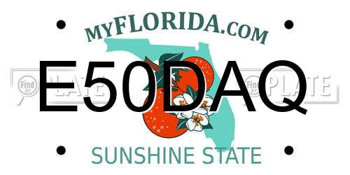 E50DAQ Florida License Plate