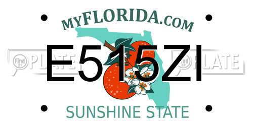 E515ZI Florida License Plate