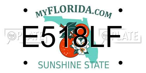 E518LF Florida License Plate