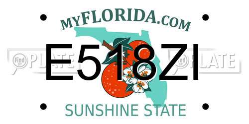 E518ZI Florida License Plate