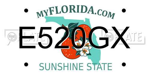 E520GX Florida License Plate