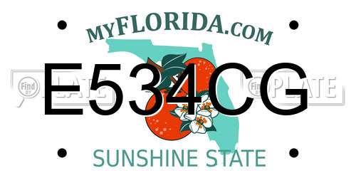 E534CG Florida License Plate