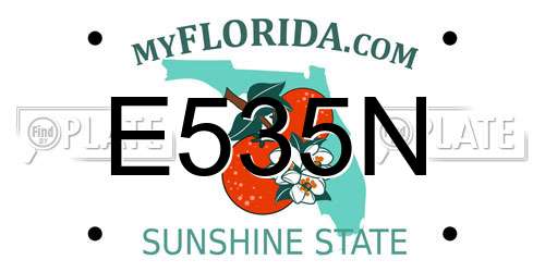 E535N Florida License Plate
