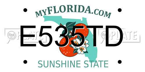 E535TD Florida License Plate