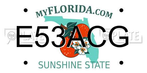 E53ACG Florida License Plate