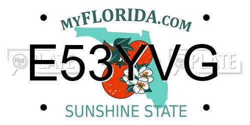 E53YVG Florida License Plate
