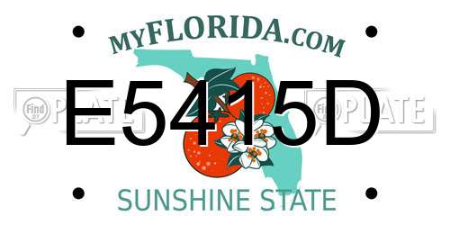 E5415D Florida License Plate