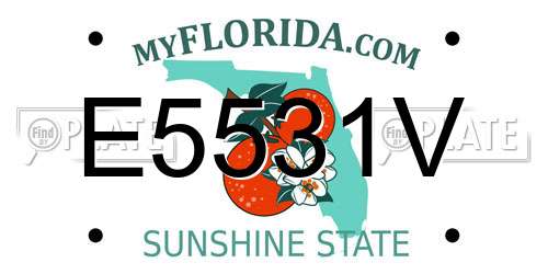E5531V Florida License Plate