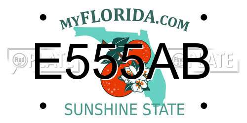 E555AB Florida License Plate