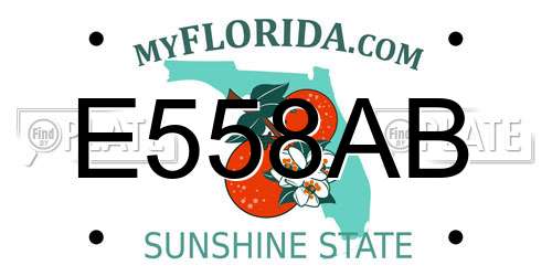 E558AB Florida License Plate