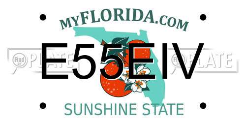 E55EIV Florida License Plate