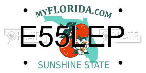 E55LEP Florida License Plate