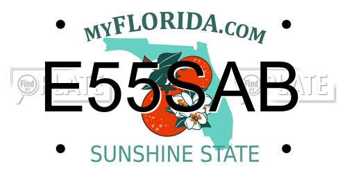 E55SAB Florida License Plate