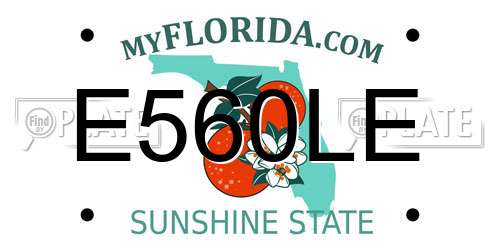 E560LE Florida License Plate