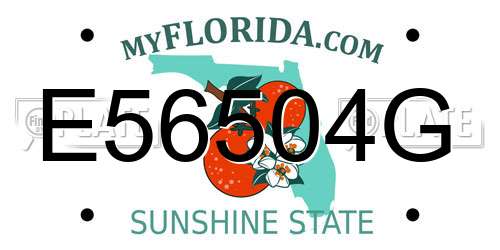 E56504G Florida License Plate